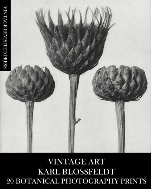 Vintage Art av Vintage Revisited Press