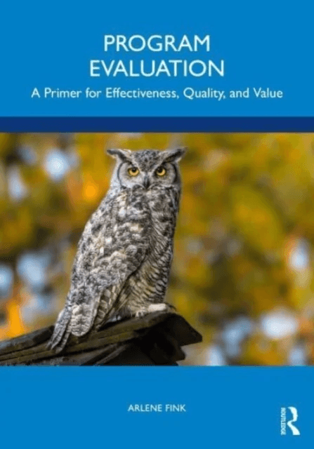 Program Evaluation av Arlene Fink