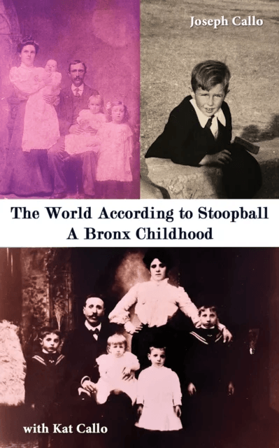 The World According to Stoopball av Joseph Callo, Kat Callo