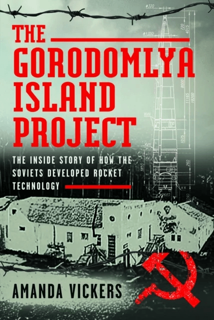 The Gorodomlya Island Project av Amanda Vickers