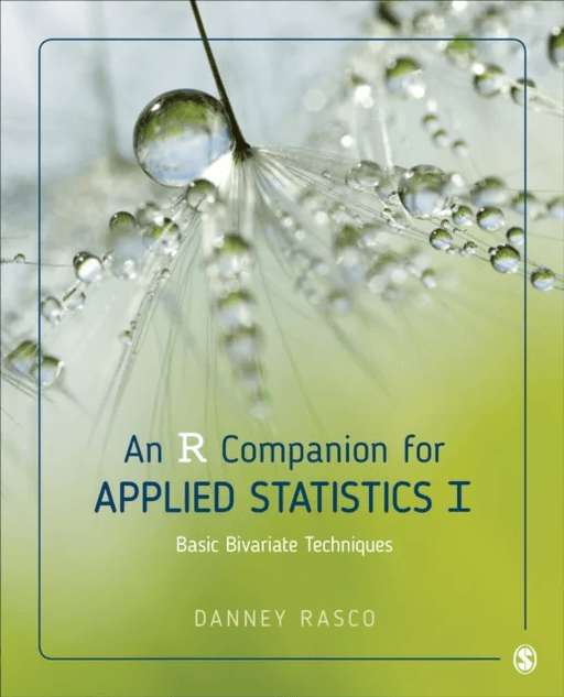 An R Companion for Applied Statistics I av Danney Rasco