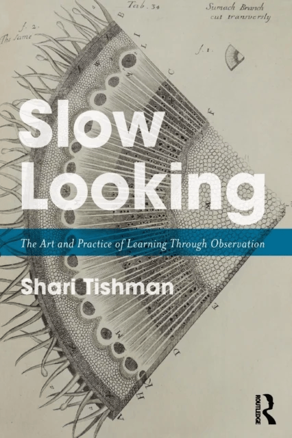 Slow Looking av Shari Tishman