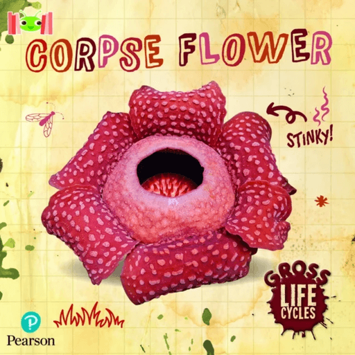 Bug Club Reading Corner: Age 5-7: Gross Lifecycles: Corpse Flower av William Anthony