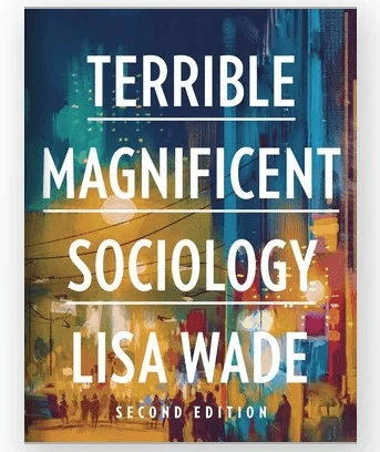 Terrible Magnificent Sociology av Lisa Wade