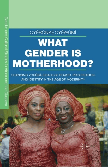 What Gender is Motherhood? av Oyeronke Oyewumi