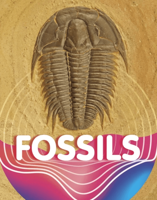 Fossils av Keli Sipperley