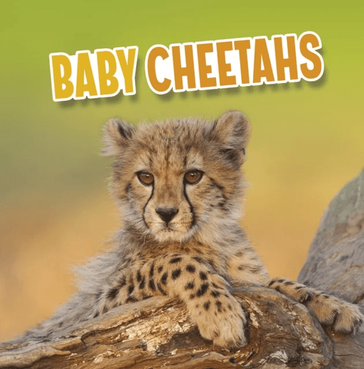 Baby Cheetahs av Martha E. H. Rustad