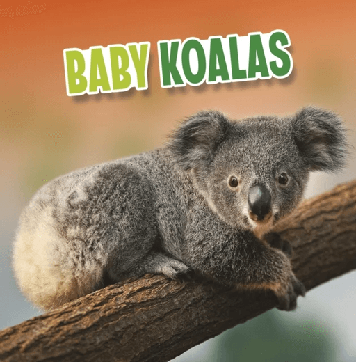 Baby Koalas av Martha E. H. Rustad