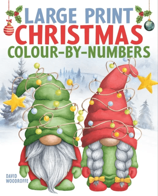 Large Print Christmas Colour-by-Numbers av David Woodroffe