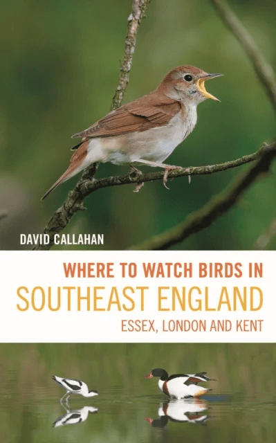 Where to Watch Birds in Southeast England av David Callahan