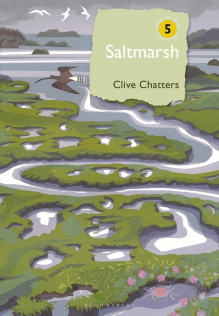 Saltmarsh av Clive Chatters