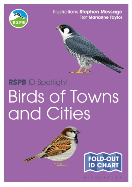 RSPB ID Spotlight - Birds of Towns and Cities av Marianne Taylor