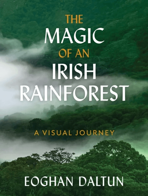 The Magic of an Irish Rainforest av Eoghan Daltun