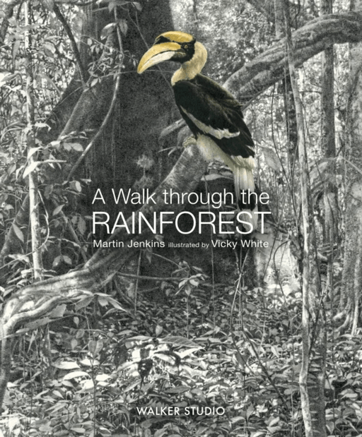 A Walk Through the Rainforest av Martin Jenkins