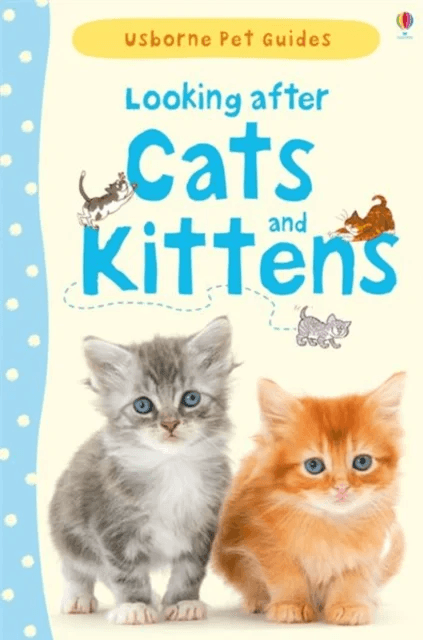Looking after Cats and Kittens av Katherine Starke