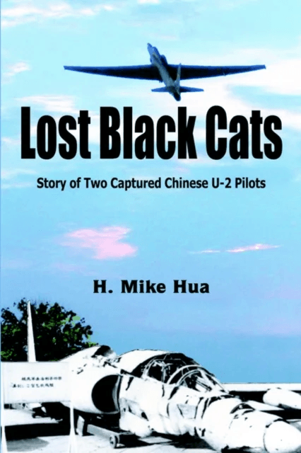 Lost Black Cats av H. Mike Hua