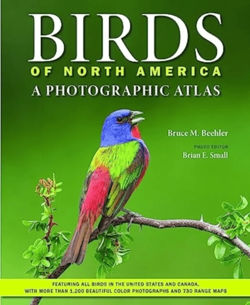 Birds of North America av Bruce M. (Research Scientist and Field Naturalist National Museum of Natural History Smithsonian Institution) Beehler