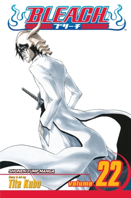 Bleach, Vol. 22 av Tite Kubo
