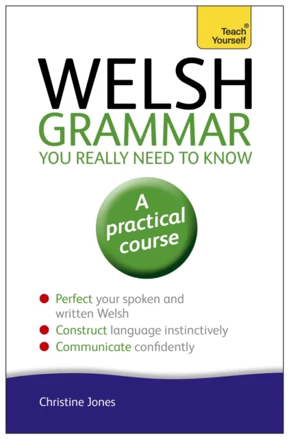 Welsh Grammar You Really Need to Know: Teach Yourself av Christine Jones