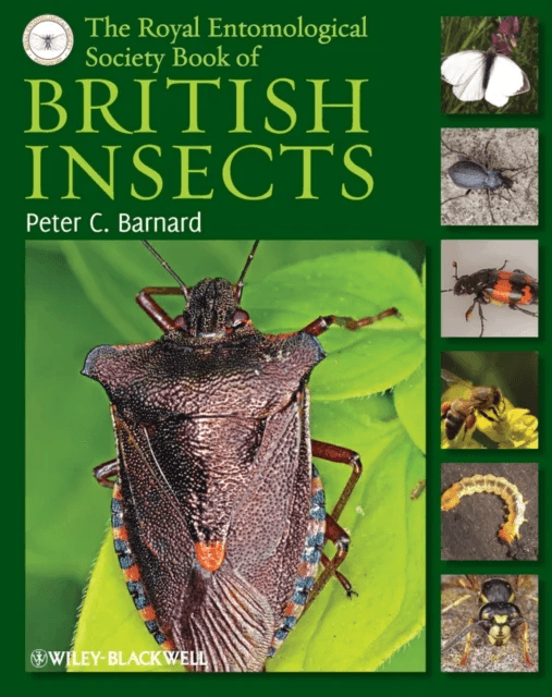 The Royal Entomological Society Book of British Insects av Peter C. (Royal Entomological Society) Barnard