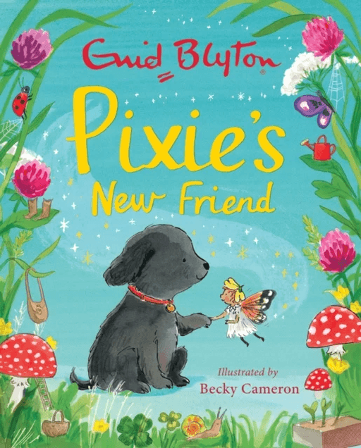 Pixie's New Friend av Enid Blyton