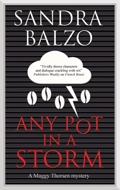 Any Pot in a Storm av Sandra Balzo