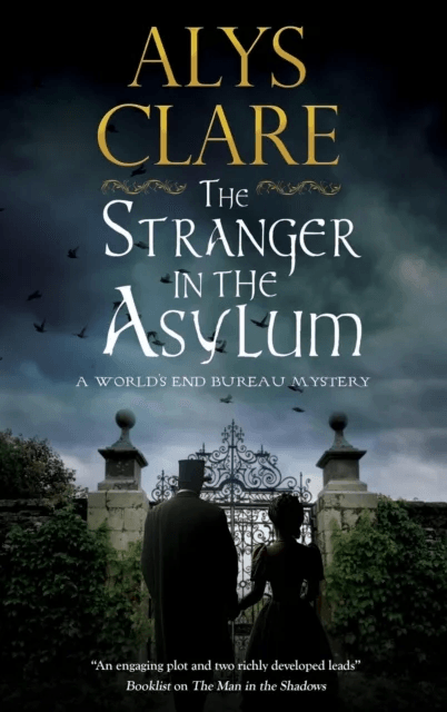 The Stranger in the Asylum av Alys Clare