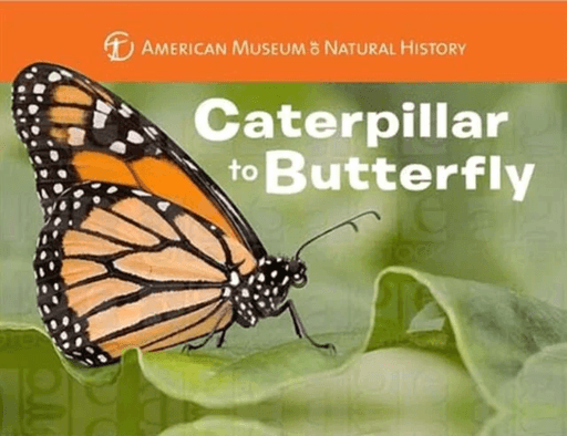 Caterpillar to Butterfly av American Museum of Natural History, Melissa Stewart
