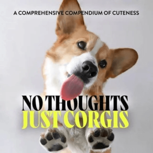 No Thoughts Just Corgis av Union Square &amp; Co.