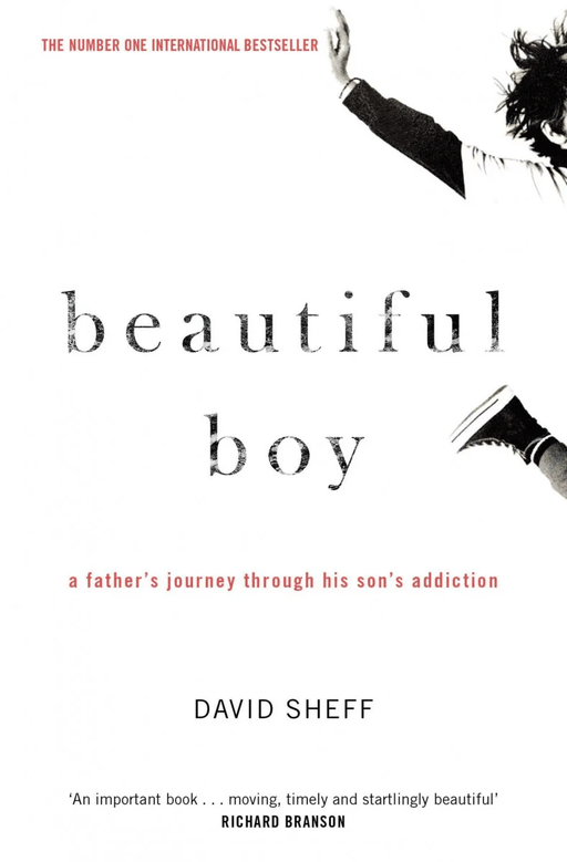 Beautiful Boy av David Sheff