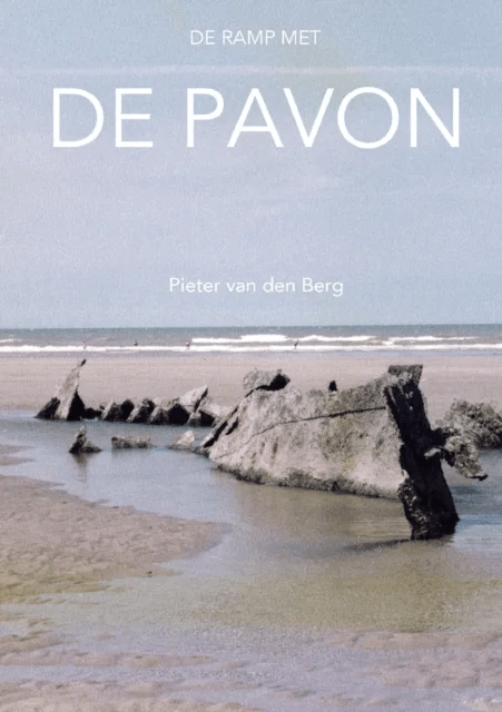 De ramp met de Pavon av Pieter Van Den Berg