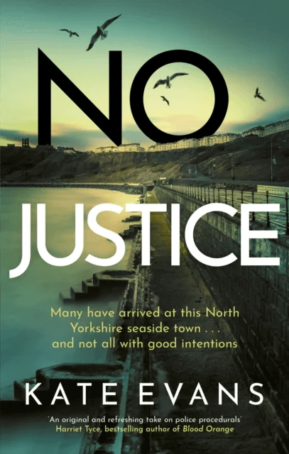 No Justice av Kate Evans