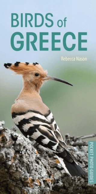Birds of Greece av Rebecca Nason