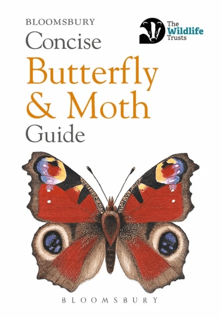 Concise Butterfly and Moth Guide av Bloomsbury