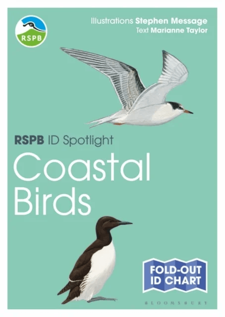RSPB ID Spotlight - Coastal Birds av Marianne Taylor