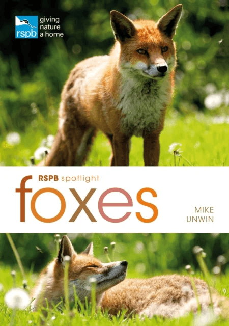 RSPB Spotlight: Foxes av Mike Unwin