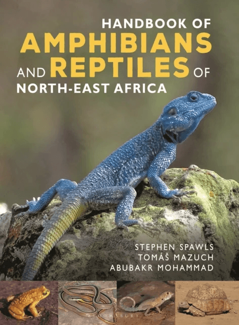 Handbook of Amphibians and Reptiles of Northeast Africa av Stephen Spawls, Abubakr Mohammad, Tomas Mazuch