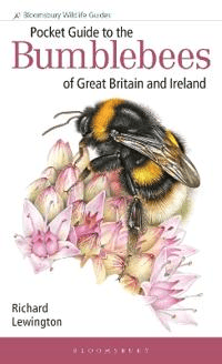 Pocket Guide to the Bumblebees of Great Britain and Ireland av Richard Lewington