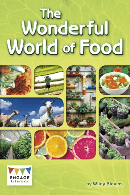The Wonderful World of Food av Wiley Blevins