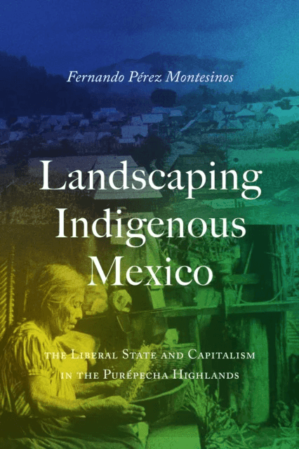 Landscaping Indigenous Mexico av Fernando Perez-Montesinos