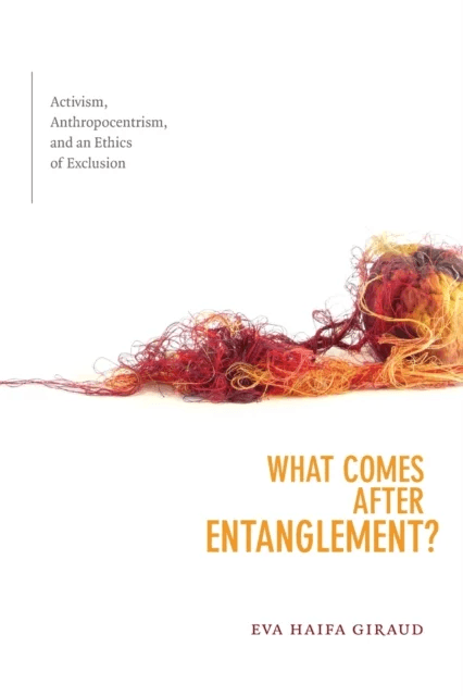 What Comes after Entanglement? av Eva Haifa Giraud