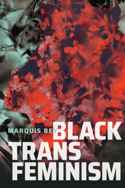 Black Trans Feminism av Marquis Bey
