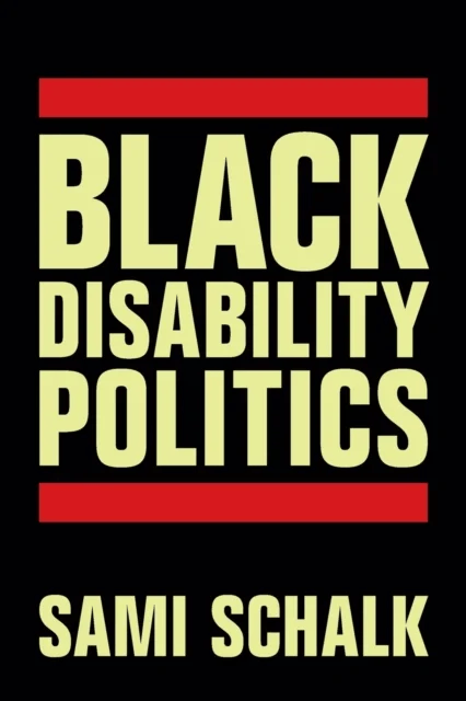 Black Disability Politics av Sami Schalk