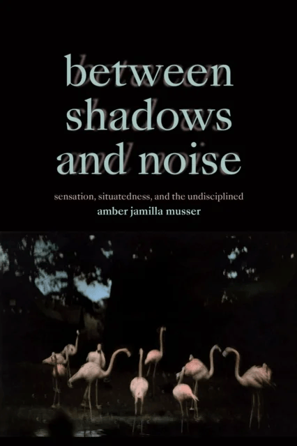 Between Shadows and Noise av Amber Jamilla Musser