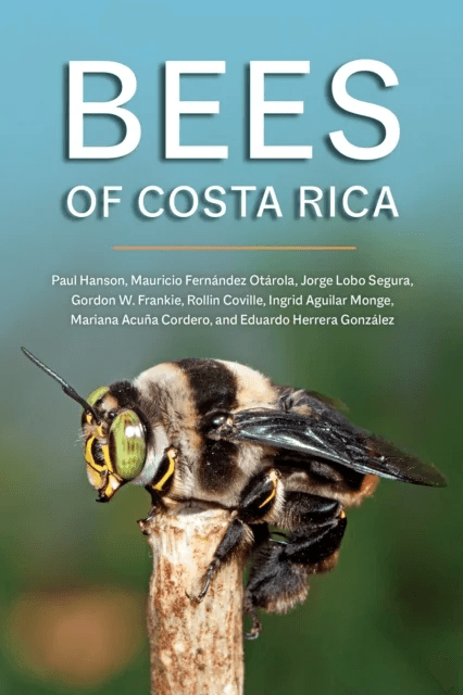 Bees of Costa Rica av Paul Hanson, Mauricio Fernandez Otarola, Jorge Lobo Segura, Gordon W. Frankie, Rollin Coville, Ingrid Aguilar Monge, Mariana Acu