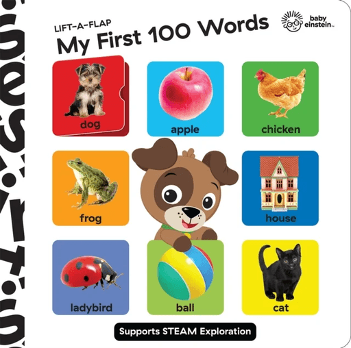 Baby Einstein Lift A Flap My First 100 Words Novelty Board Book av P I Kids
