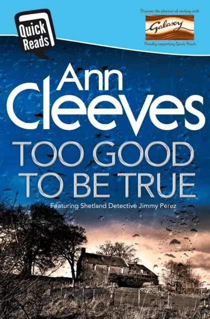 Too Good To Be True av Ann Cleeves