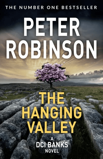 The Hanging Valley av Peter Robinson