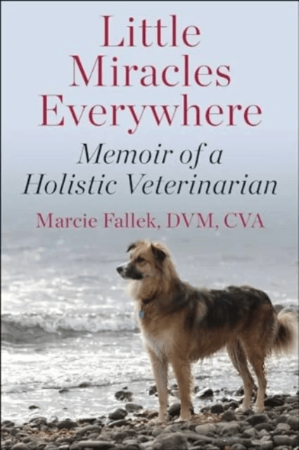 Little Miracles Everywhere av Marcie Fallek