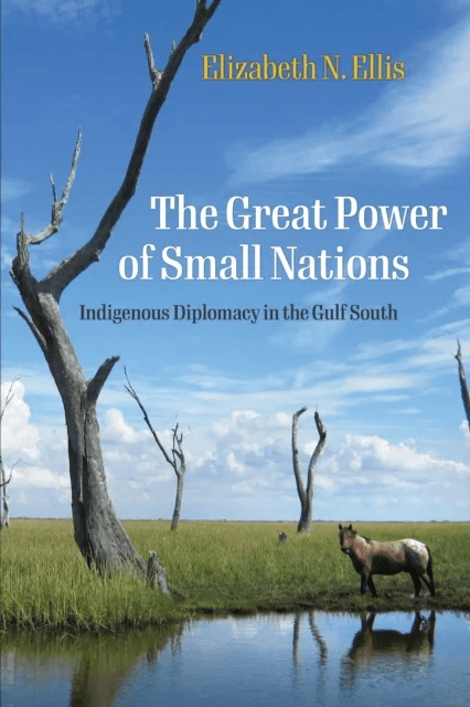 The Great Power of Small Nations av Elizabeth N. Ellis